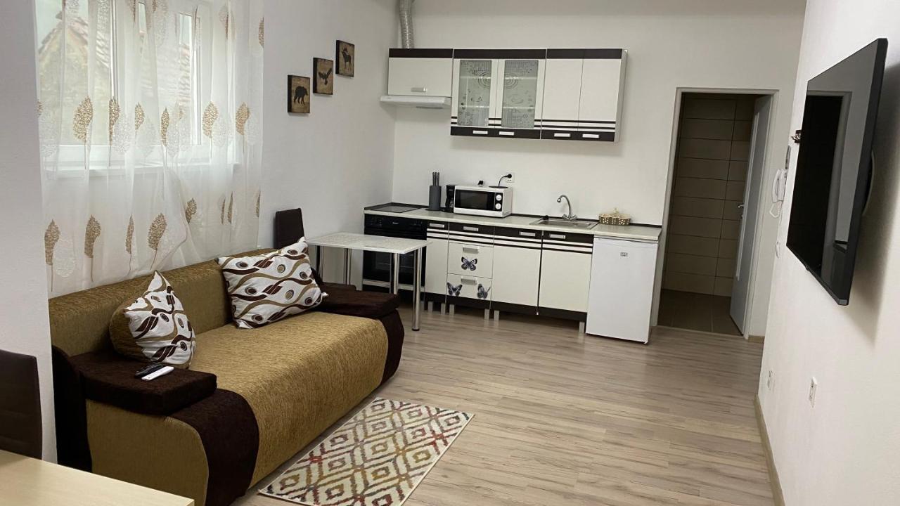 Centralhome Ap1 Sighişoara Exterior foto